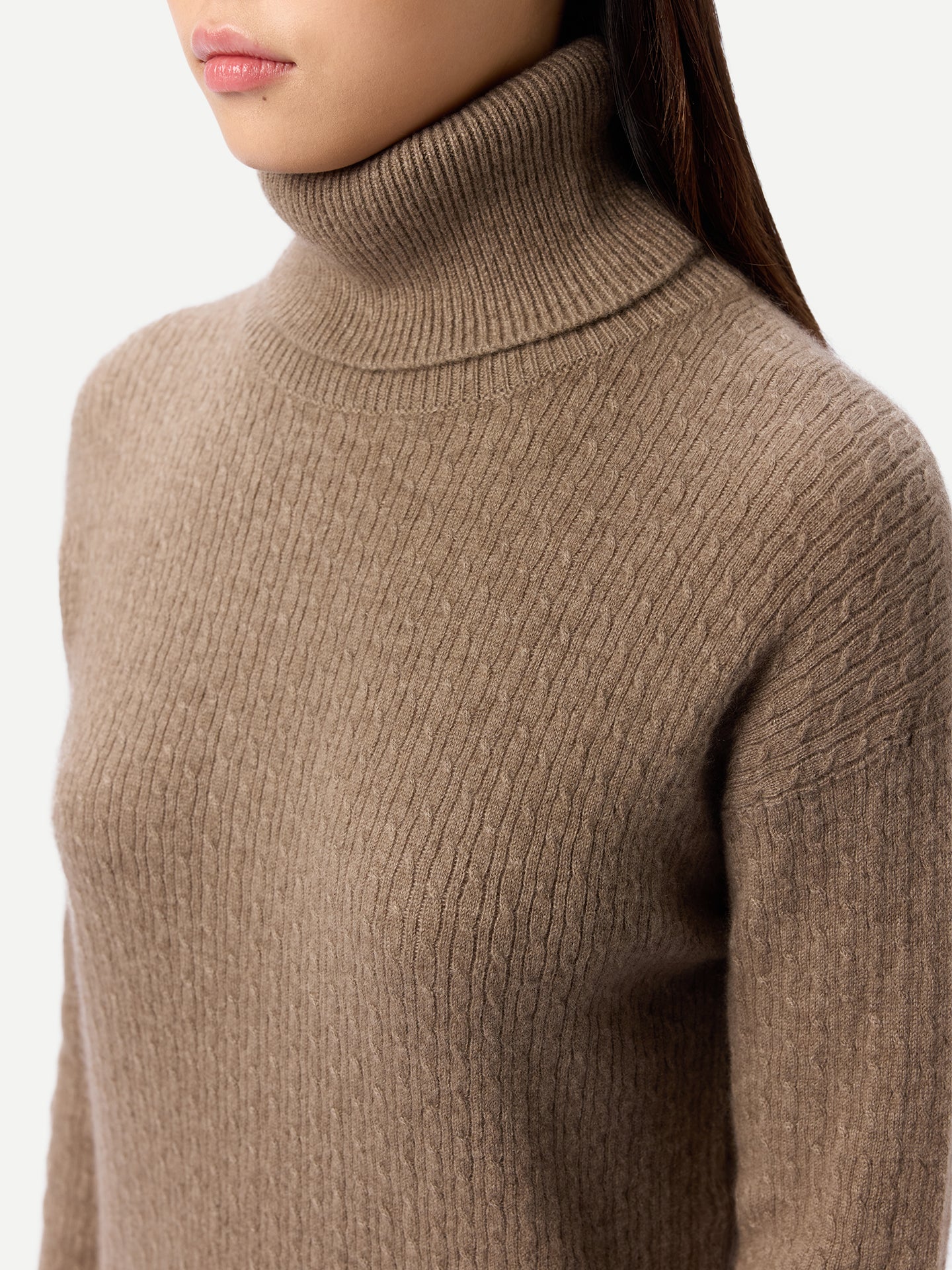 Organic Colour Seamless Turtleneck Cashmere Dress